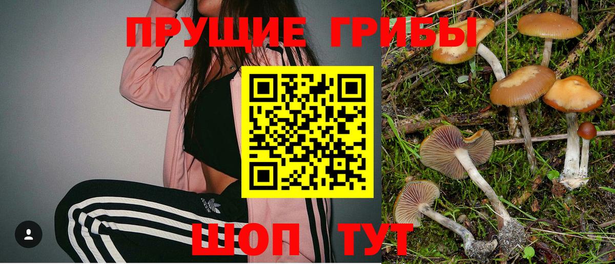 Галлюциногенные грибы GOLDEN TEACHER Назарово