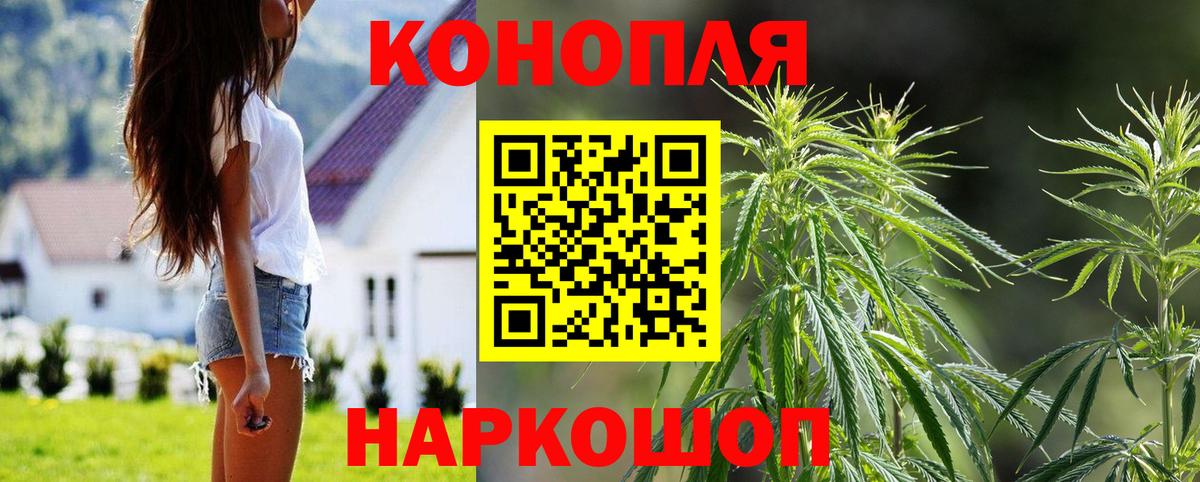 Конопля тримм  Шишки марихуана сатива  Назарово  Вход с VPN 